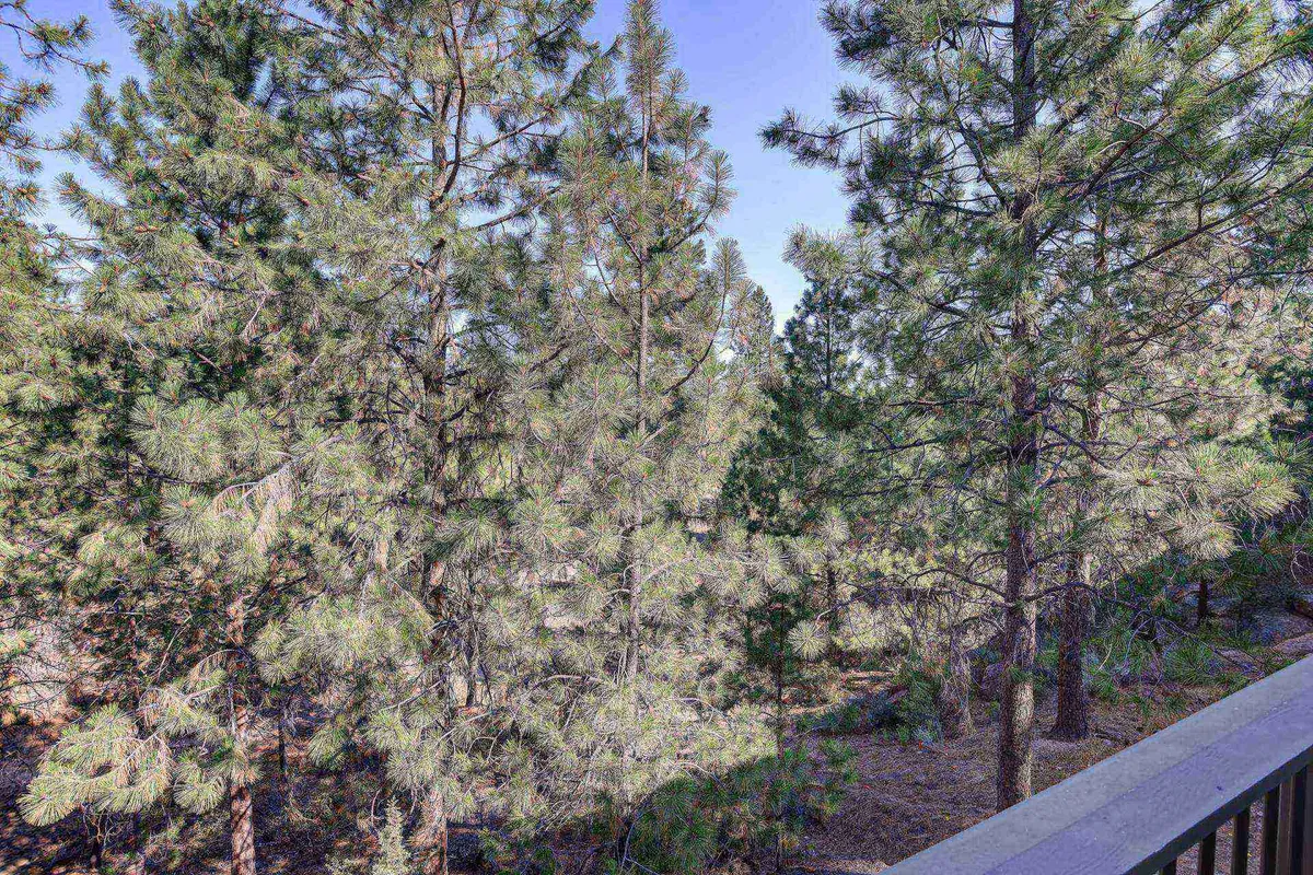 This image captures a lush scene with dense greenery and tall pine trees, evoking the natural setting that surrounds Mt. Bachelor Village Resort. The view invites thoughts of nearby river trails and scenic outdoor adventures.
