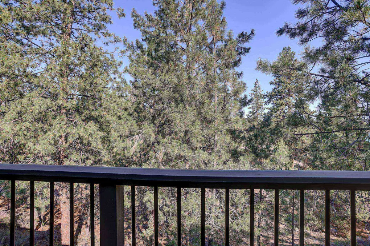 A serene view from the deck, looking out over dense pine trees beyond the railing. The perspective suggests a peaceful retreat perfect for enjoying morning coffee or quiet reading, immersed in nature.